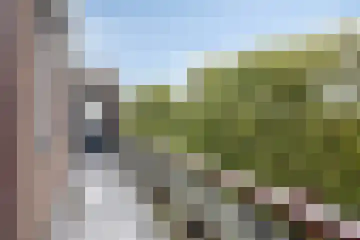 Maassingel 384 's-Hertogenbosch thumbnail 22