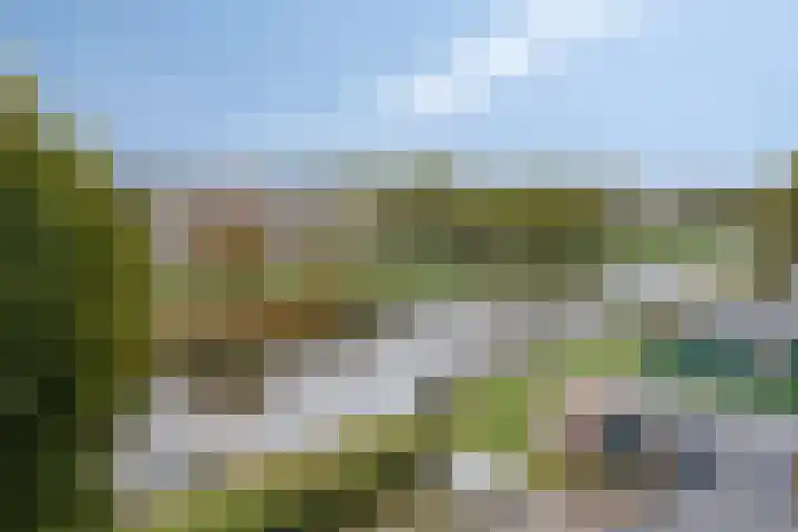 Maassingel 384 's-Hertogenbosch thumbnail 26
