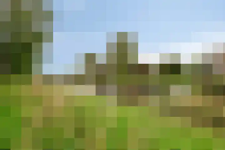Maassingel 384 's-Hertogenbosch thumbnail 27
