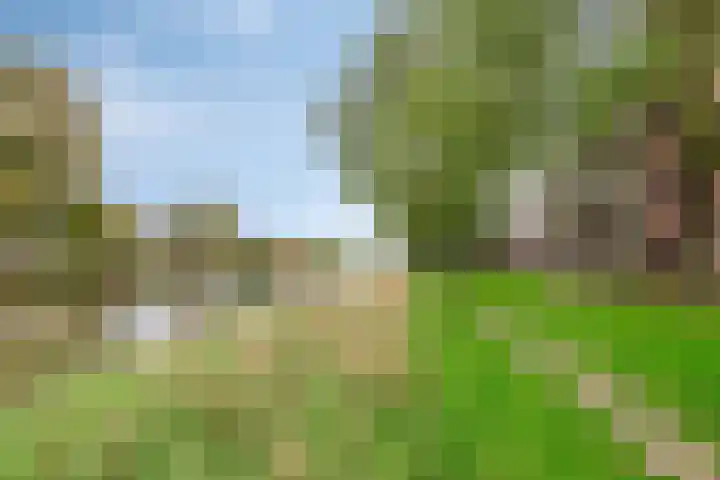 Maassingel 384 's-Hertogenbosch thumbnail 28