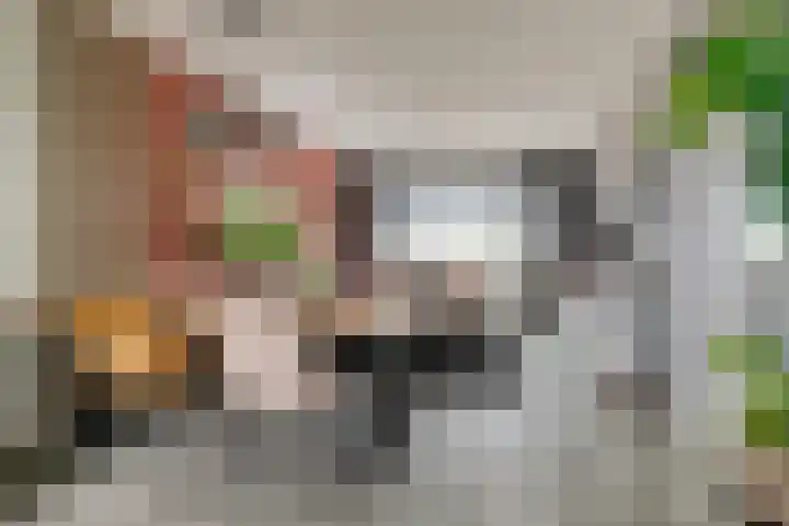 Maassingel 384 's-Hertogenbosch thumbnail 8