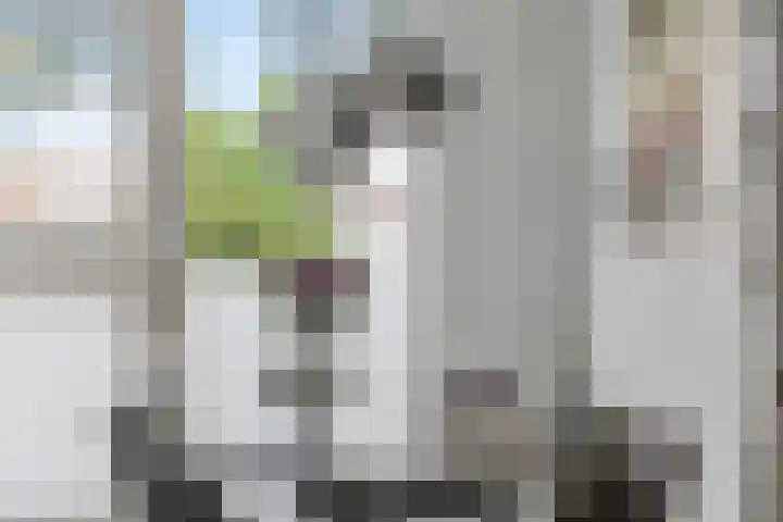 Maassingel 45 IJsselstein thumbnail 30