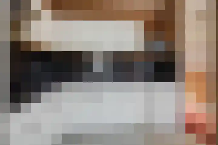 Maassingel 47 Deurne thumbnail 15
