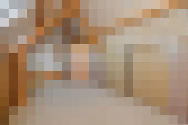 Maassingel 47 Deurne thumbnail 26