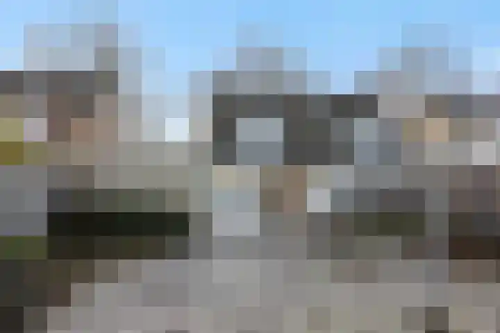 Maassingel 47 Deurne thumbnail 30