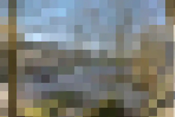 Maassingel 47 Deurne thumbnail 31