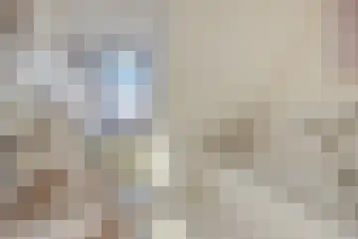 Maassingel 47 Deurne thumbnail 4