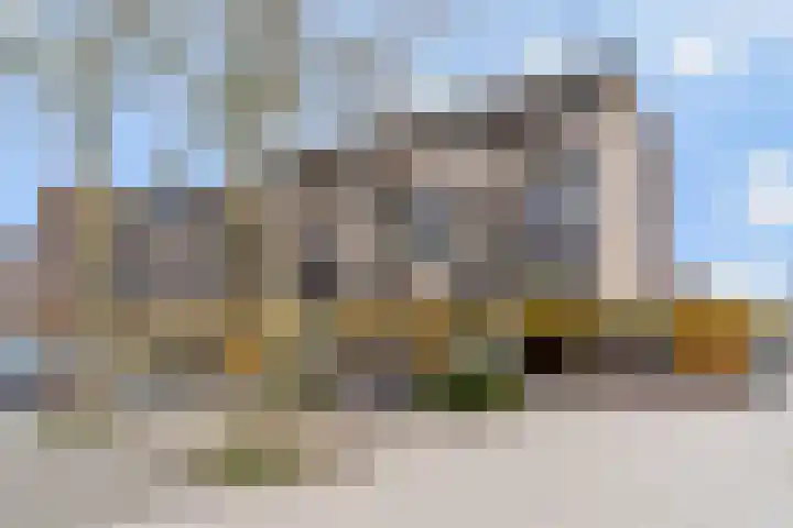 Maassingel 50 's-Hertogenbosch thumbnail 36