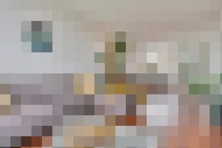 Maassingel 50 's-Hertogenbosch thumbnail 6