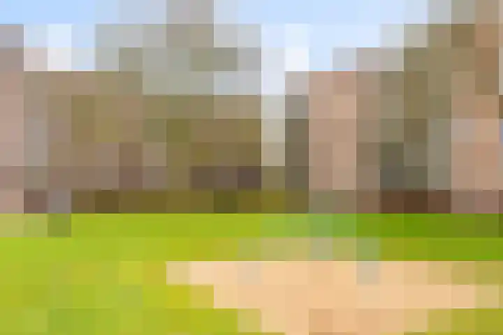 Maassingel 54 's-Hertogenbosch thumbnail 33