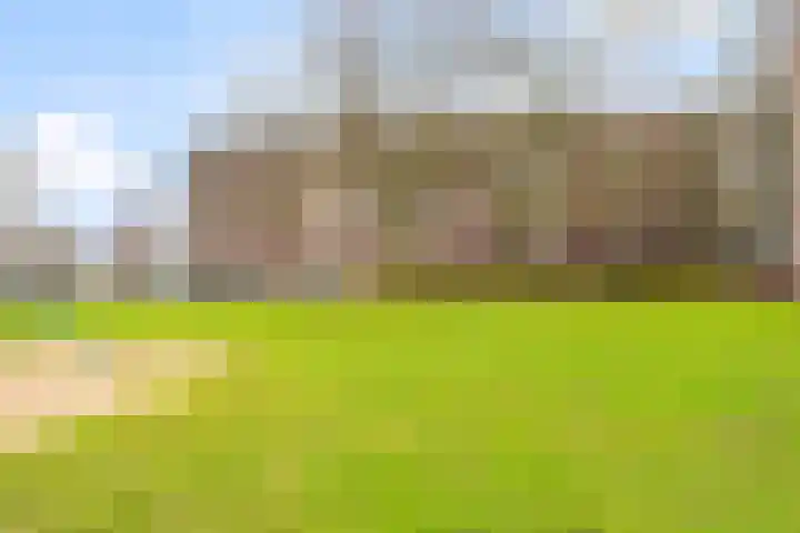 Maassingel 54 's-Hertogenbosch thumbnail 34