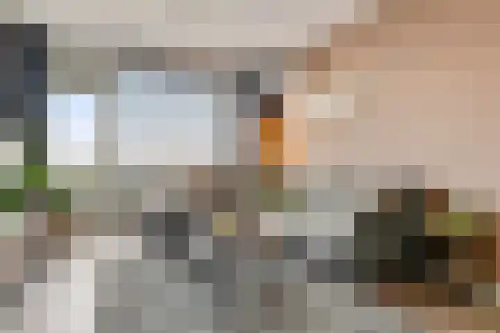 Maassingel 54 's-Hertogenbosch thumbnail 4