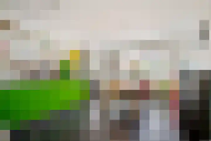 Maassingel 61 's-Hertogenbosch thumbnail 12
