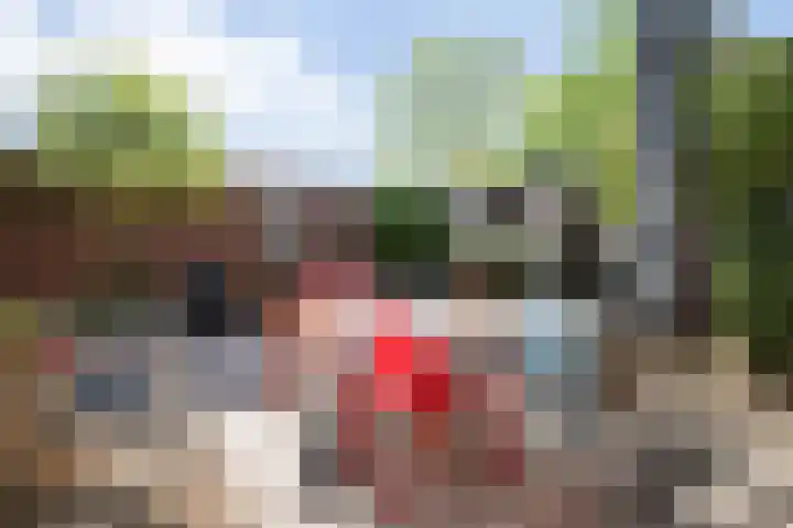 Maassingel 61 's-Hertogenbosch thumbnail 21