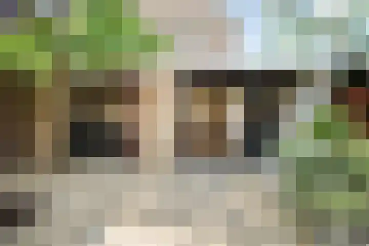 Maassingel 61 's-Hertogenbosch thumbnail 24