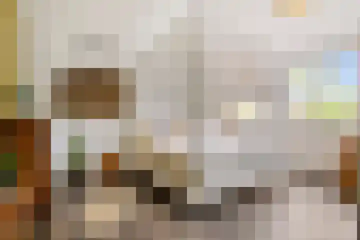 Maassingel 61 's-Hertogenbosch thumbnail 33