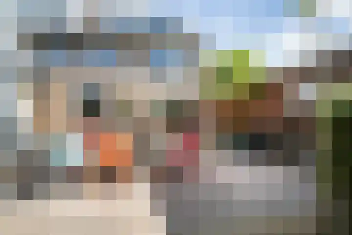Maassingel 61 's-Hertogenbosch thumbnail 45