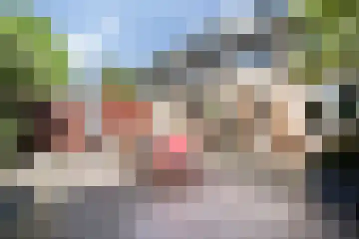 Maassingel 61 's-Hertogenbosch thumbnail 46