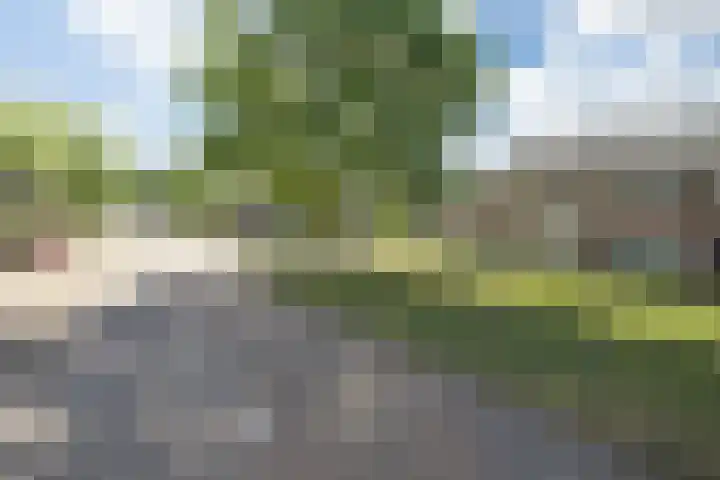 Maassingel 61 's-Hertogenbosch thumbnail 54