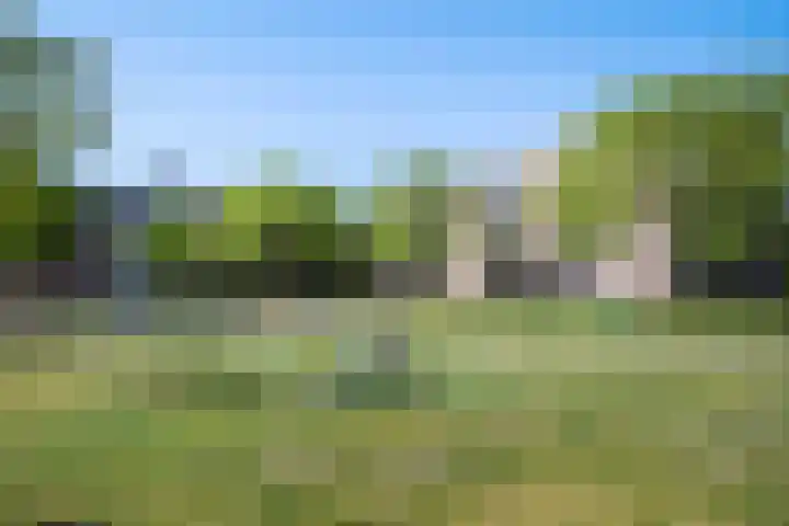 Maassingel 61 's-Hertogenbosch thumbnail 58