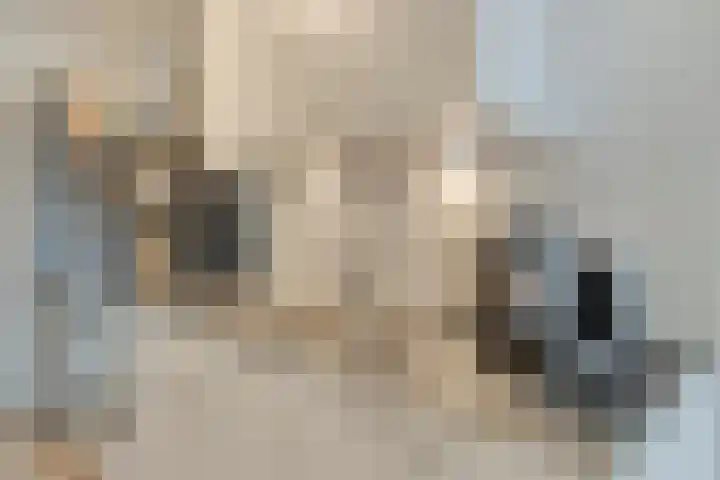 Maassluisstraat 25 Amsterdam thumbnail 13
