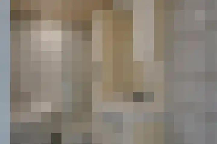Maasstraat 1 Deventer thumbnail 18