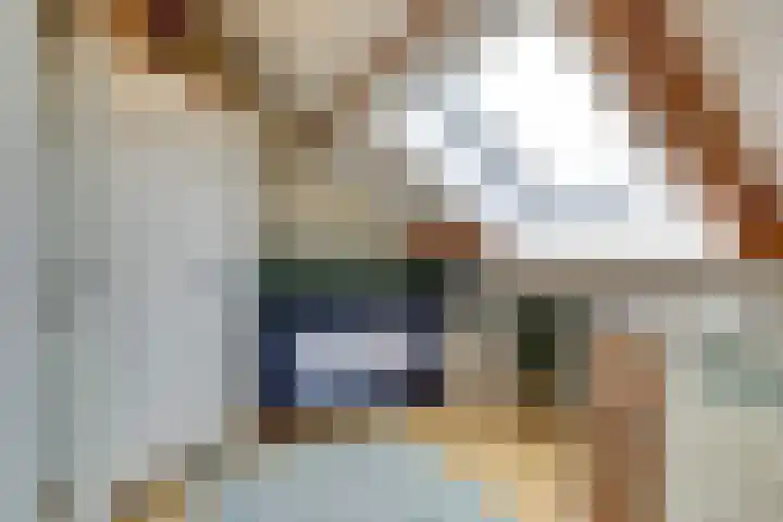 Maasstraat 11 Herten thumbnail 23