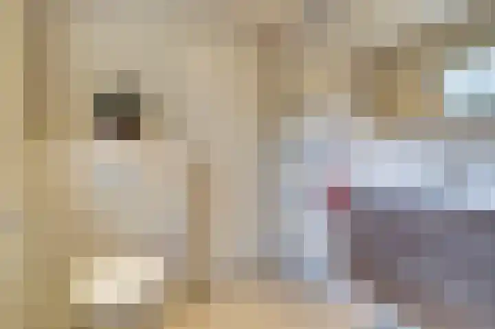 Maasstraat 11 Herten thumbnail 29