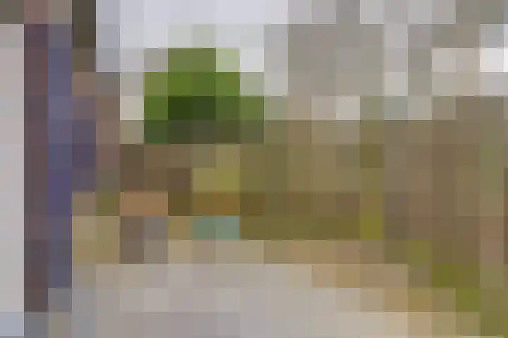 Maasstraat 11 Herten thumbnail 40