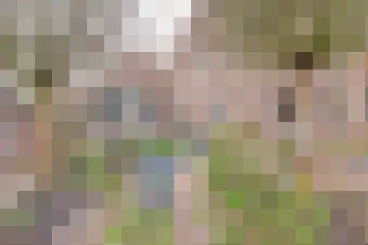 Maasstraat 11 Herten thumbnail 47