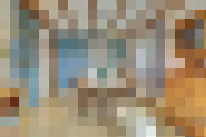 Maasstraat 11 Herten thumbnail 9