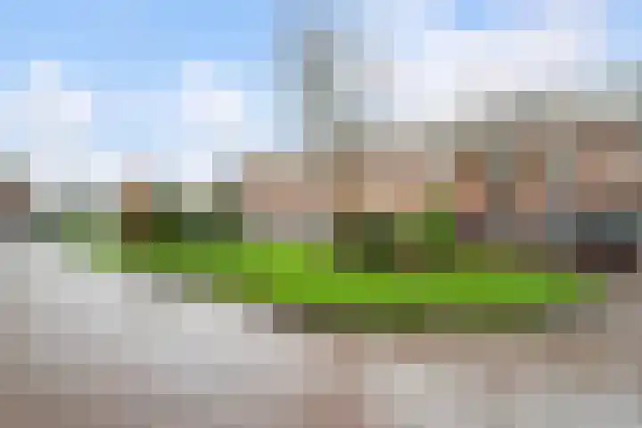 Maasstraat 15 Haarlem thumbnail 32
