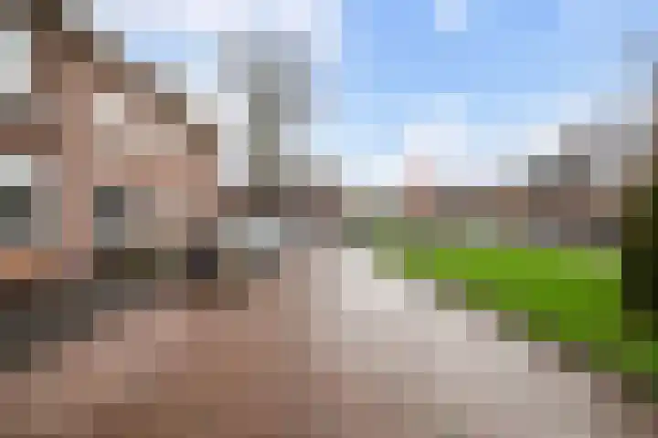 Maasstraat 15 Haarlem thumbnail 34