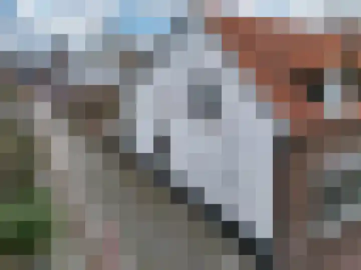 Maasstraat 16 Arcen thumbnail 27