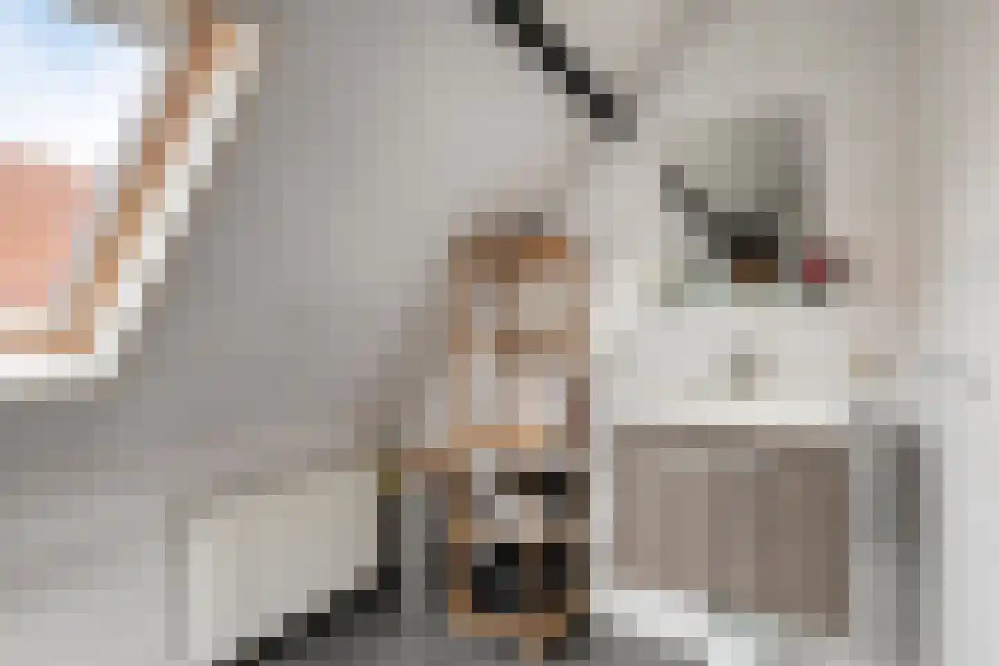 Maasstraat 16 Gennep thumbnail 36