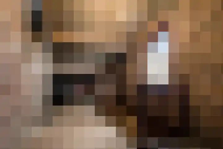 Maasstraat 18 Kessel thumbnail 25