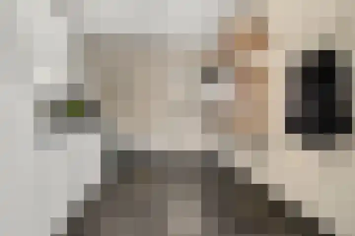 Maasstraat 18 Kessel thumbnail 27