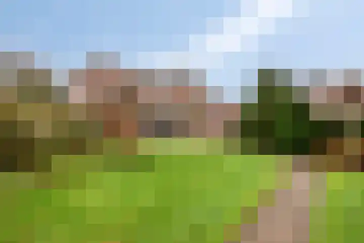 Maasstraat 18 Kessel thumbnail 35