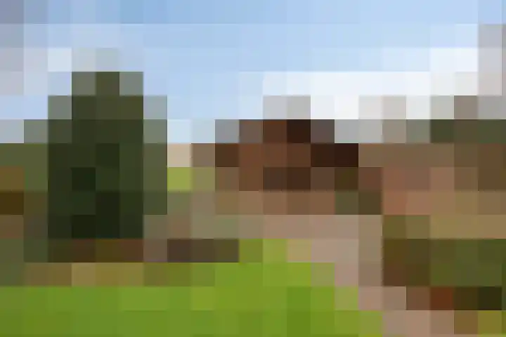 Maasstraat 18 Kessel thumbnail 36