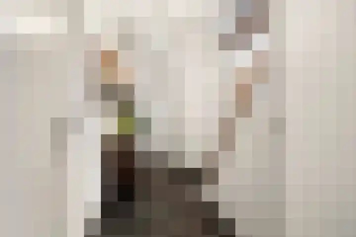 Maasstraat 18 Kessel thumbnail 7