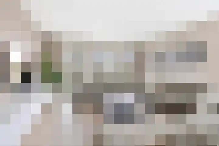 Maasstraat 22 Uden thumbnail 11