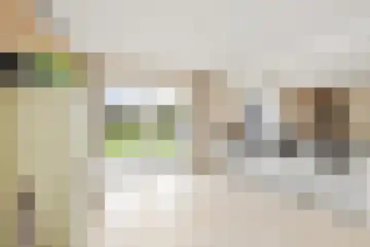 Maasstraat 22 Uden thumbnail 21