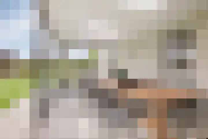 Maasstraat 22 Uden thumbnail 23