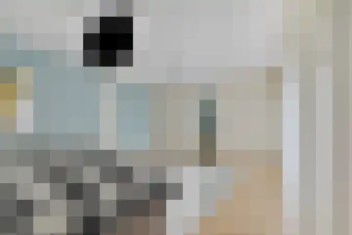 Maasstraat 22 Uden thumbnail 31