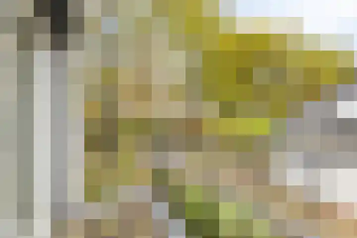 Maasstraat 22 Uden thumbnail 36