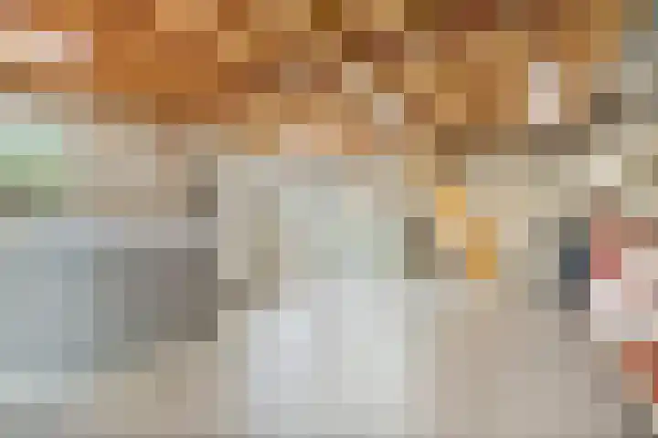 Maasstraat 22 Uden thumbnail 46