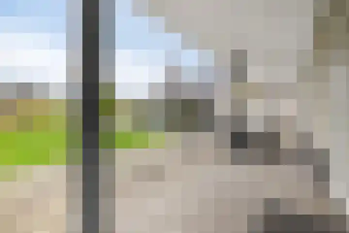 Maasstraat 22 Uden thumbnail 49