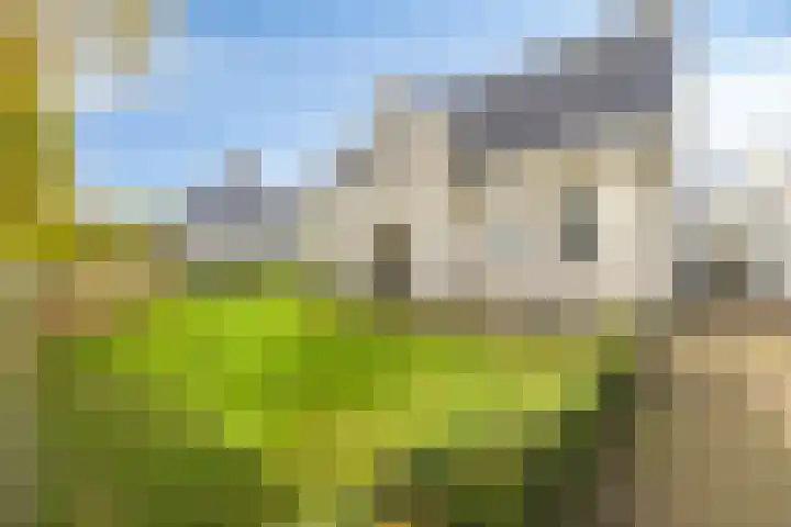 Maasstraat 22 Uden thumbnail 5