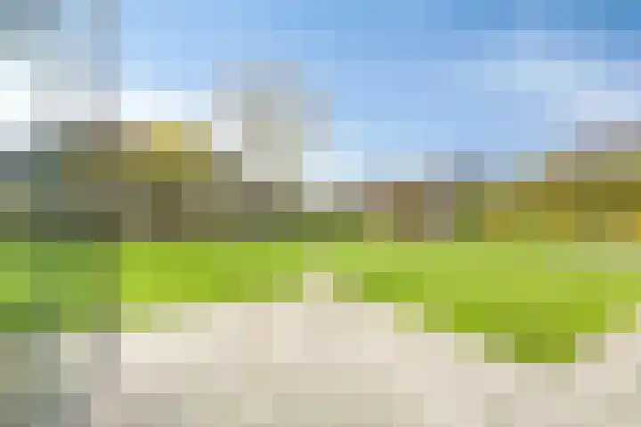 Maasstraat 22 Uden thumbnail 50