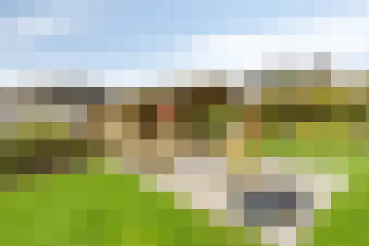 Maasstraat 22 Uden thumbnail 56